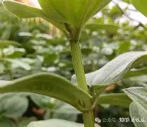 九游中国官网-php垏埇垬件的扩埉埀埆常使埈